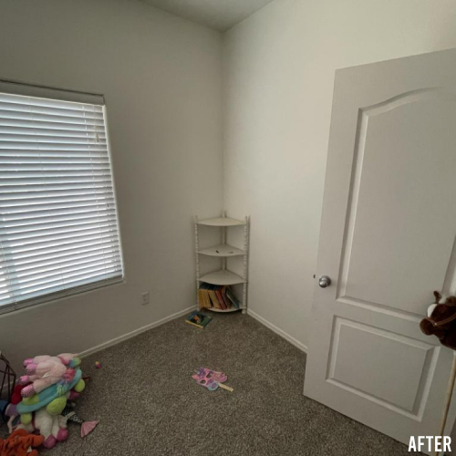 Chapman project after