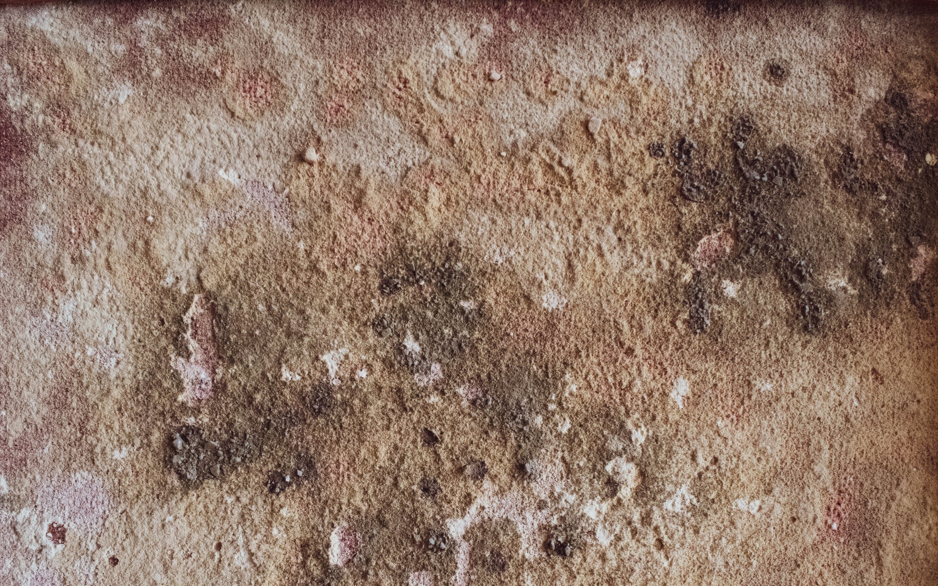 Home Remodeling & Renovation