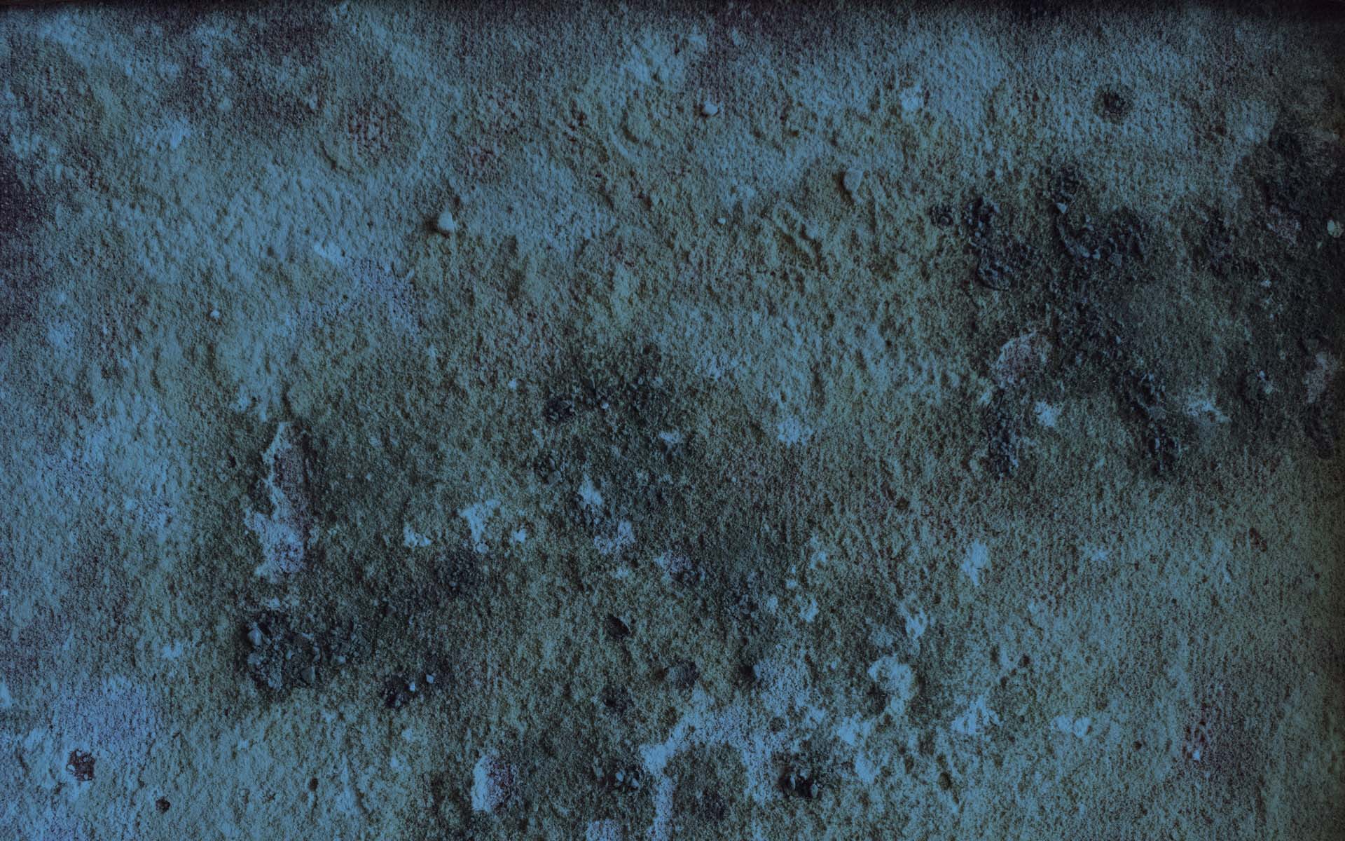 Mold Removal And Remediation